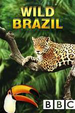 Watch Wild Brazil 123movieshub