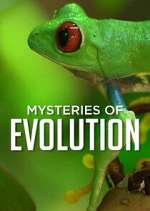 Watch Mysteries of Evolution 123movieshub