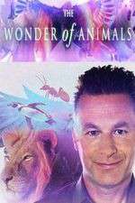 Watch The Wonder of Animals 123movieshub