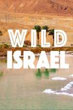 Watch Wild Israel 123movieshub
