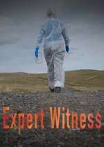 Watch Expert Witness 123movieshub