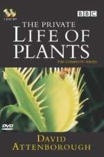 Watch The Private Life of Plants 123movieshub