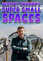 Watch Dermot Bannon's Super Small Spaces 123movieshub