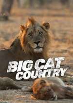 Watch Big Cat Country 123movieshub