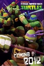 Watch Teenage Mutant Ninja Turtles 123movieshub