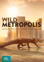 Watch Wild Metropolis 123movieshub