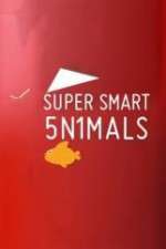 Watch Super Smart Animals 123movieshub