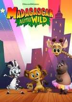 Watch Madagascar: A Little Wild 123movieshub