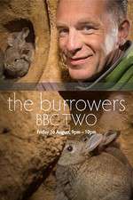 Watch The Burrowers 123movieshub