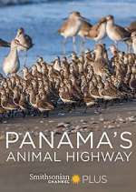 Watch Panama's Animal Highway 123movieshub