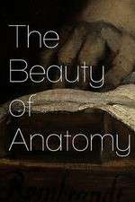 Watch The Beauty of Anatomy 123movieshub