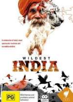 Watch Wildest India 123movieshub