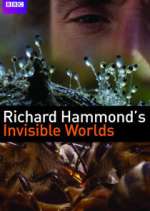 Watch Richard Hammond's Invisible Worlds 123movieshub