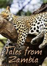 Watch Tales from Zambia 123movieshub