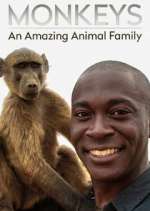 Watch Monkeys: An Amazing Animal Family 123movieshub