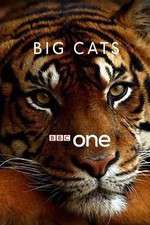 Watch Big Cats 123movieshub