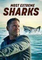 Watch Most Extreme Sharks 123movieshub