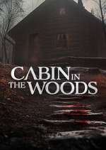 Watch Cabin in the Woods 123movieshub