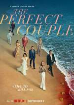 Watch The Perfect Couple 123movieshub