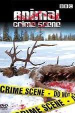 Watch Animal Crime Scene 123movieshub