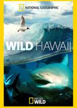 Watch Wild Hawaii 123movieshub