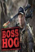 Watch Boss Hog 123movieshub