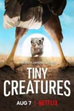 Watch Tiny Creatures 123movieshub