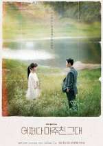 Watch Met You By Chance 123movieshub