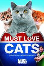 Watch Must Love Cats 123movieshub