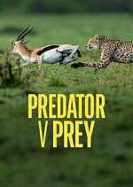 Watch Predator v Prey 123movieshub