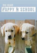 Watch Dog Squad: Puppy School 123movieshub