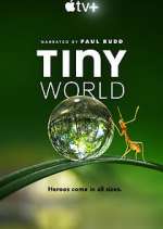 Watch Tiny World 123movieshub