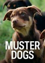Watch Muster Dogs 123movieshub