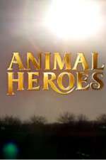 Watch Animal Heroes 123movieshub