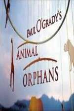 Watch Paul O'Grady's Animal Orphans 123movieshub