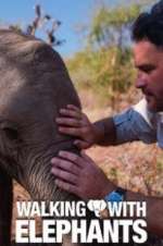 Watch Walking with Elephants 123movieshub