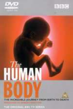 Watch The Human Body 123movieshub