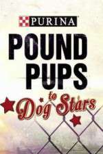 Watch Purina Pound Pups To Dog Stars 123movieshub