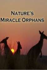 Watch Nature's Miracle Orphans 123movieshub