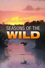 Watch Seasons of the Wild 123movieshub