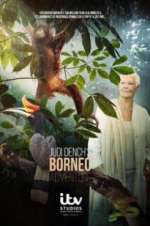 Watch Judi Dench\'s Wild Borneo Adventure 123movieshub