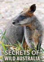 Watch Secrets of Wild Australia 123movieshub