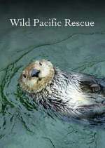 Watch Wild Pacific Rescue 123movieshub