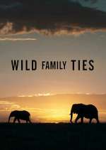 Watch Wild Family Ties 123movieshub