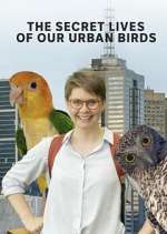 Watch The Secret Lives of Our Urban Birds 123movieshub