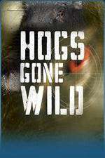 Watch Hogs Gone Wild 123movieshub