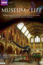 Watch BBC Museum of Life 123movieshub