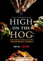 Watch High on the Hog: How African American Cuisine Transformed America 123movieshub