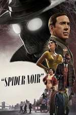 Spider-Noir 123movieshub