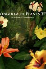 Watch Kingdom of Plants 3D 123movieshub